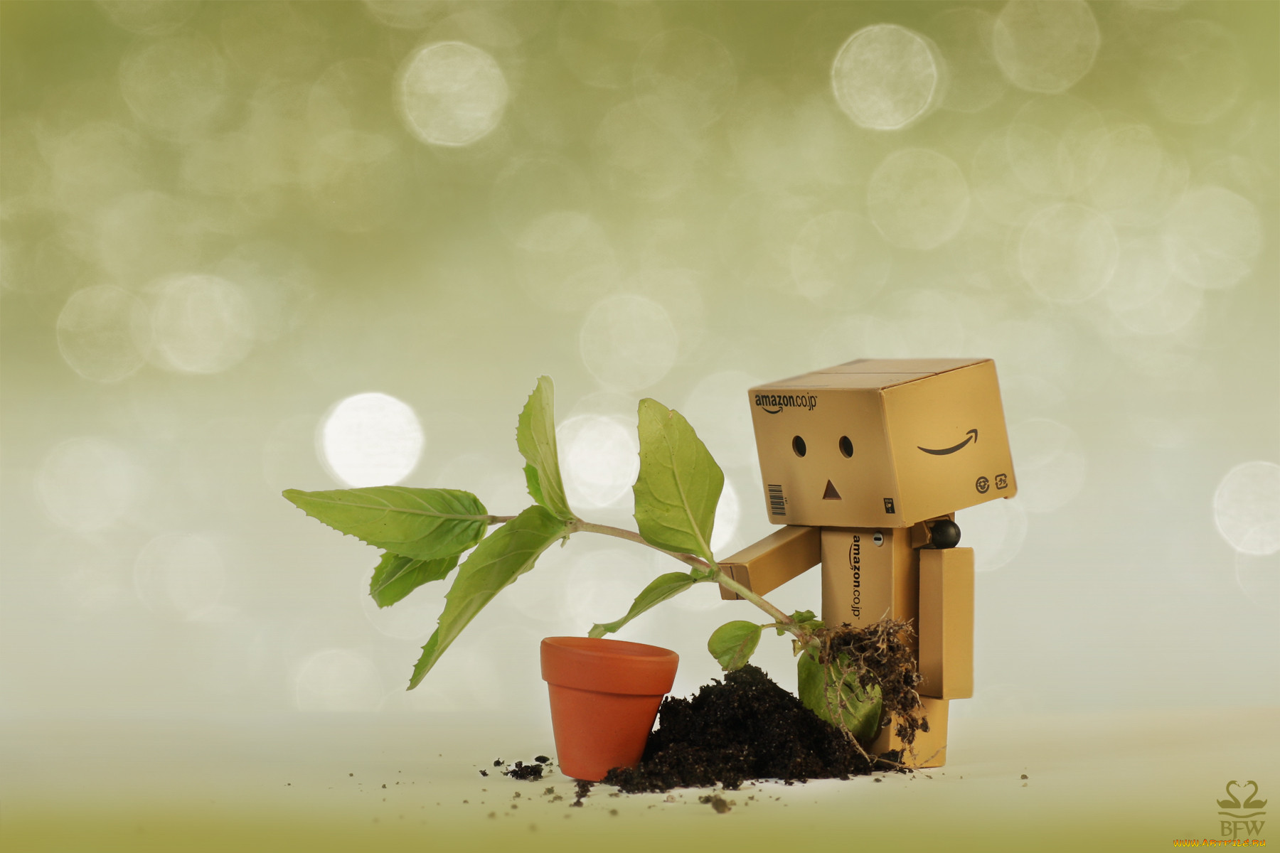, , danboard